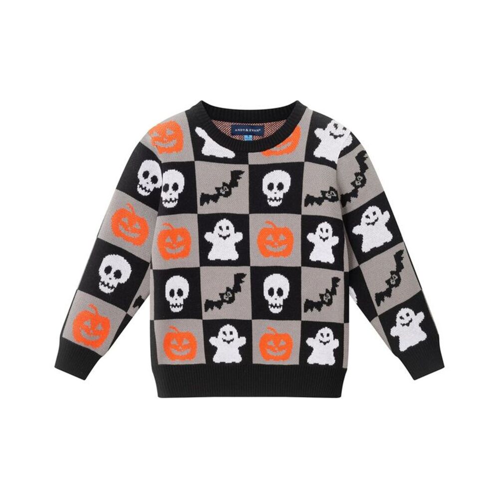 Andy & Evan Boys  Graphic Sweater, Grey